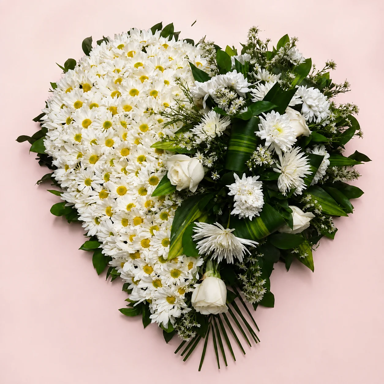 Coraz&oacute;n f&uacute;nebre de margaritas blancas y rosas en oferta